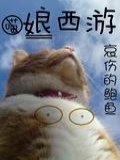 娘西游小说