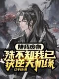 书名杂灵根