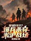 穿越淞沪保卫战司令的小说