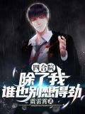 四合院:除了我,谁也别想得劲作者:震雷霄